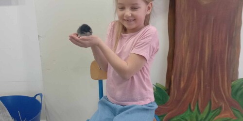 dziewczynka trzyma kurczaczka